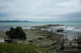 NZn-134 [ons]