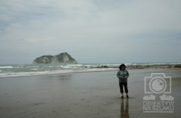 NZn-135 [ons]