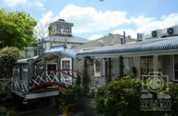 NZn-20 [ons]