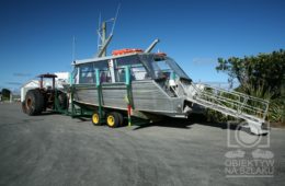 NZn-315 [ons]