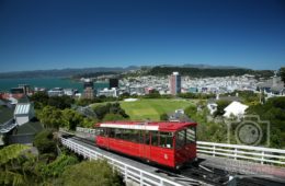 NZn-343 [ons]