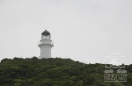 NZnd-161 [ons]