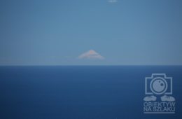 NZnd-445 [ons]